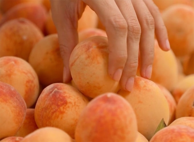 vg about us image opt