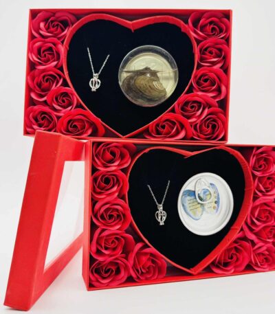 red rose & oyster gold pearl necklace